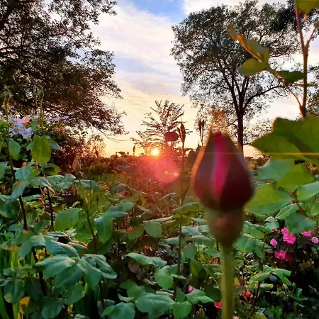 La Fontenelle Meuble T2 * Sainte-Severe